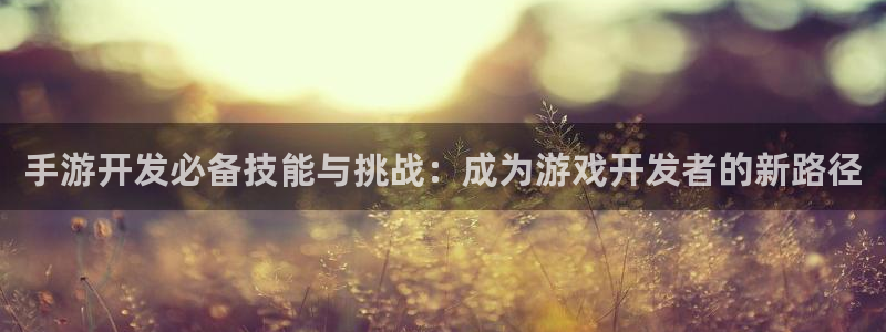 巅峰国际登录：手游开发必备技能与挑战：成为游戏开发者的新路径