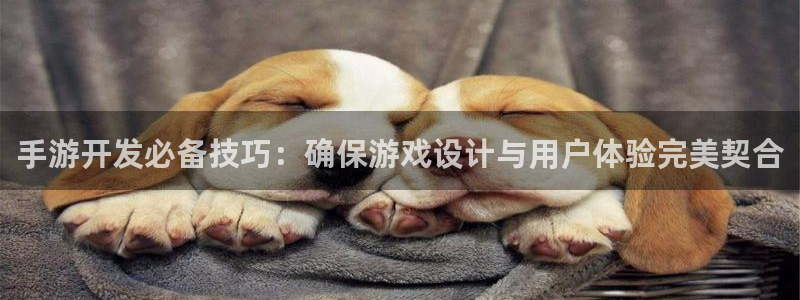 巅峰国际平台：手游开发必备技巧：确保游戏设计与用户体验完美契