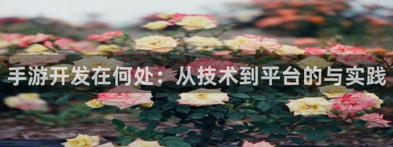 巅峰国际官网：手游开发在何处：从技术到平台的与实践