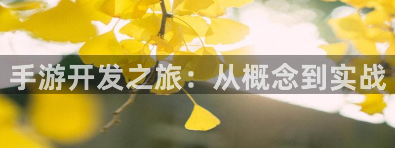 巅峰国际官网：手游开发之旅：从概念到实战