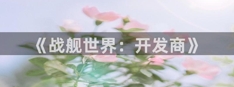 巅峰国际app：《战舰世界：开发商》