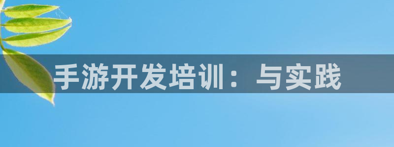 巅峰国际首页：手游开发培训：与实践