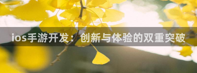 巅峰国际官网：ios手游开发：创新与体验的双重突破