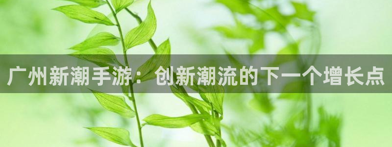巅峰国际登陆：广州新潮手游：创新潮流的下一个增长点