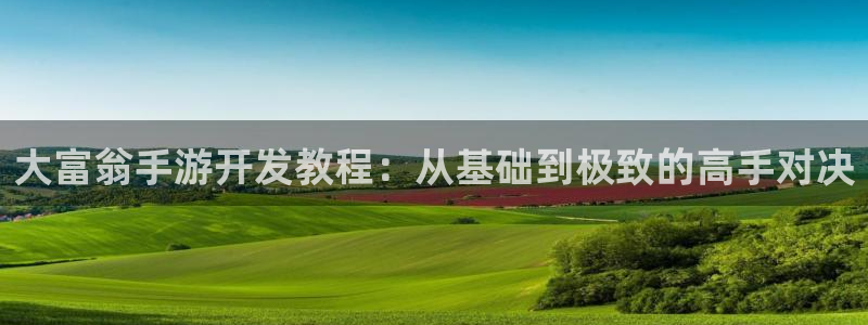 巅峰国际登录：大富翁手游开发教程：从基础到极致的高手对决
