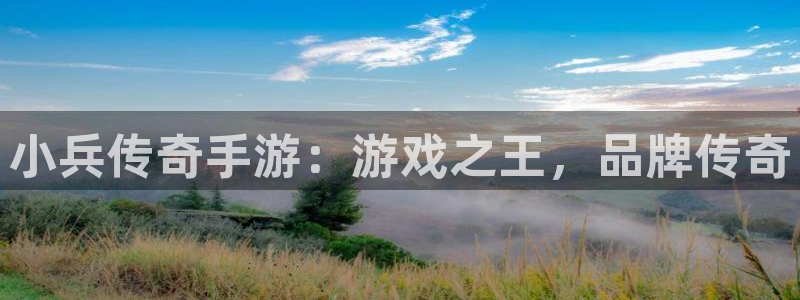巅峰国际注册：小兵传奇手游：游戏之王，品牌传奇