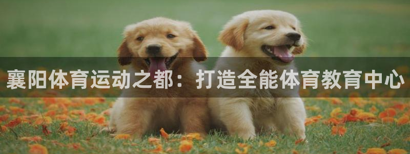 k1体育app下载：襄阳体育运动之都：打造全能体育教育中心