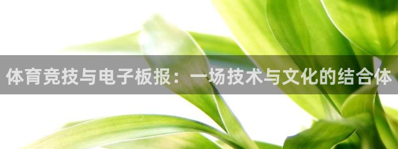 k1体育棋牌网址：体育竞技与电子板报：一场技术与文化的结合体