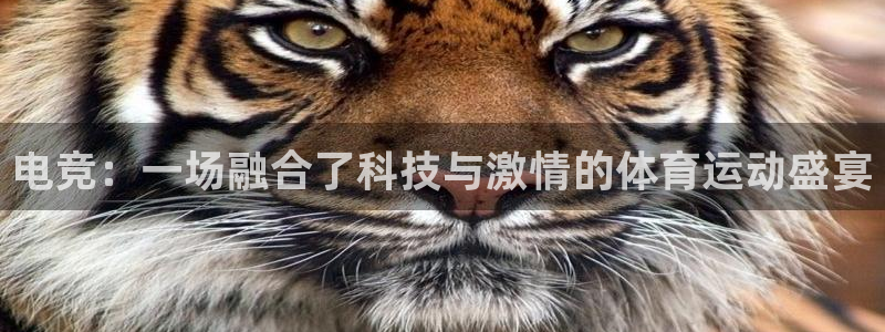 k1体育棋牌：电竞：一场融合了科技与激情的体育运动盛宴