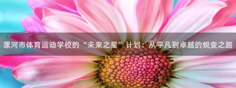 k1体育网址：漯河市体育运动学校的“未来之星”计划：从平凡到卓越的蜕变之路