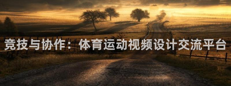 k1体育平台下载：竞技与协作：体育运动视频设计交流平台