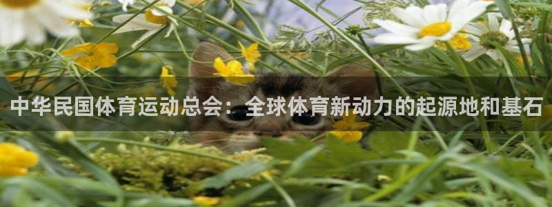 帮k1体育在线登录：中华民国体育运动总会：全球体育新动力的起源地和基石