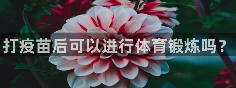 k1体育十年品牌值得信赖：打疫苗后可以进行体育锻炼吗？